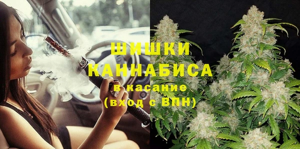 ГАЛЛЮЦИНОГЕННЫЕ ГРИБЫ Горно-Алтайск