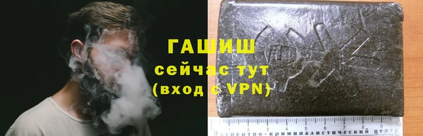 ГАЛЛЮЦИНОГЕННЫЕ ГРИБЫ Горно-Алтайск