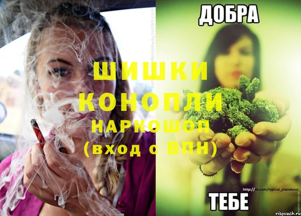 ГАЛЛЮЦИНОГЕННЫЕ ГРИБЫ Горно-Алтайск