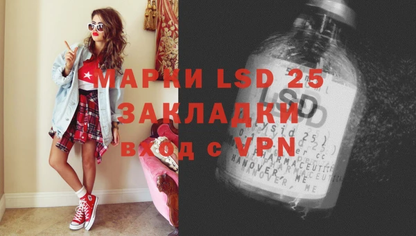 ГАЛЛЮЦИНОГЕННЫЕ ГРИБЫ Горно-Алтайск