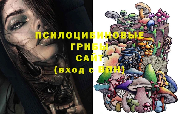 ECSTASY Горнозаводск