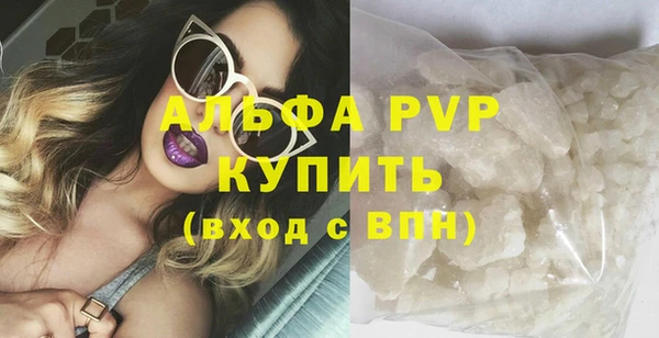 ГАЛЛЮЦИНОГЕННЫЕ ГРИБЫ Горно-Алтайск