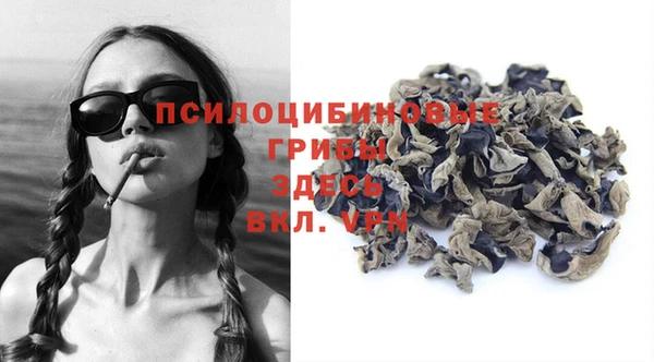 ГАЛЛЮЦИНОГЕННЫЕ ГРИБЫ Горно-Алтайск