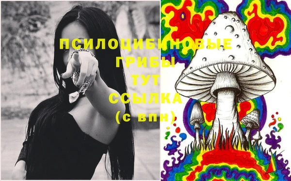мескалин Гусиноозёрск