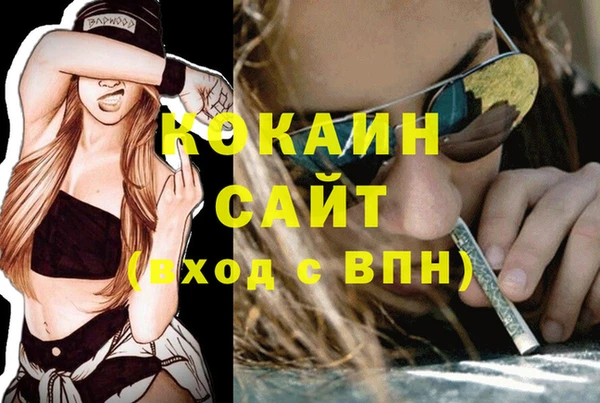 ГАЛЛЮЦИНОГЕННЫЕ ГРИБЫ Горно-Алтайск