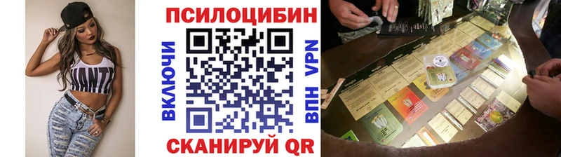 Псилоцибиновые грибы ЛСД  Купить закладки  Нефтекумск 